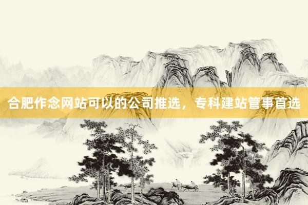 合肥作念网站可以的公司推选，专科建站管事首选