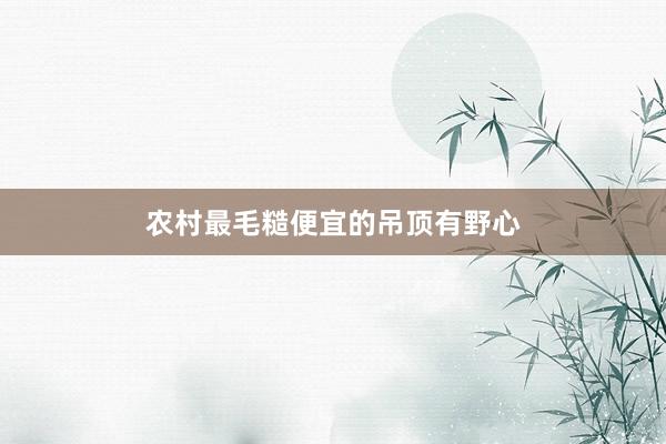农村最毛糙便宜的吊顶有野心
